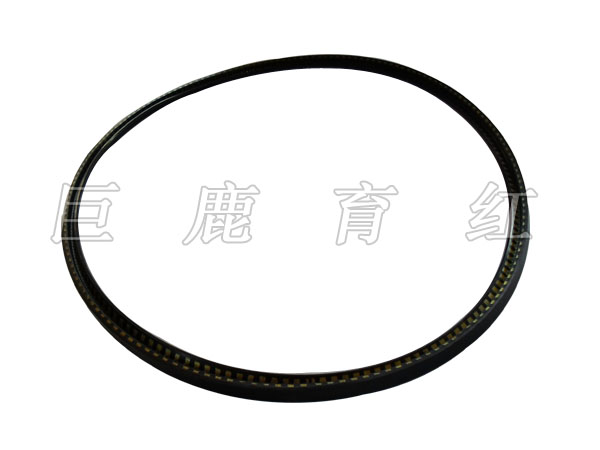 GE776电动轮密封      41A237396P1